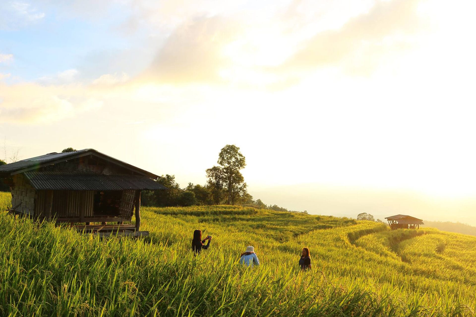 Chiang Mai - Mae Jam