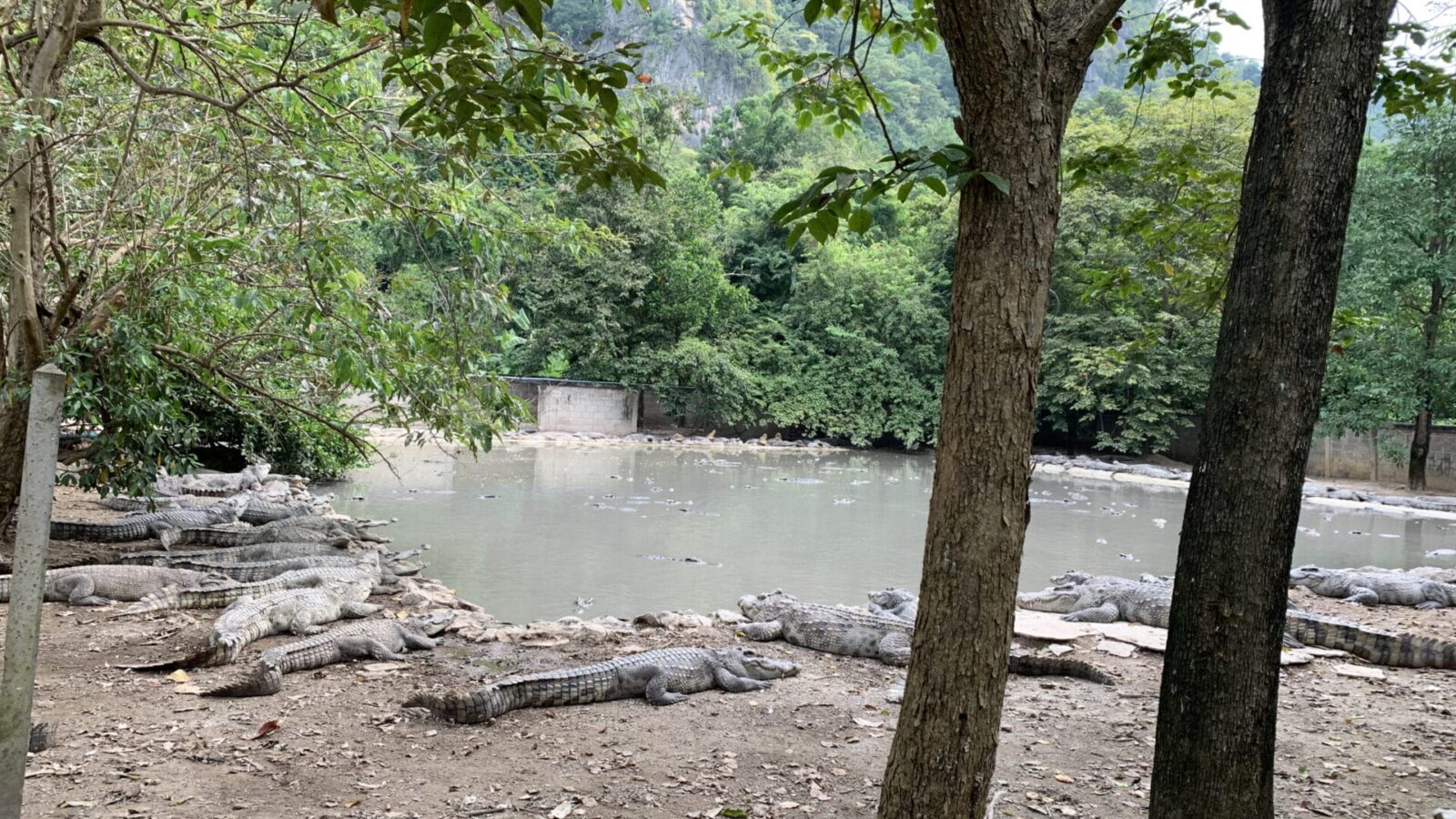 4 years after Renovation (3)