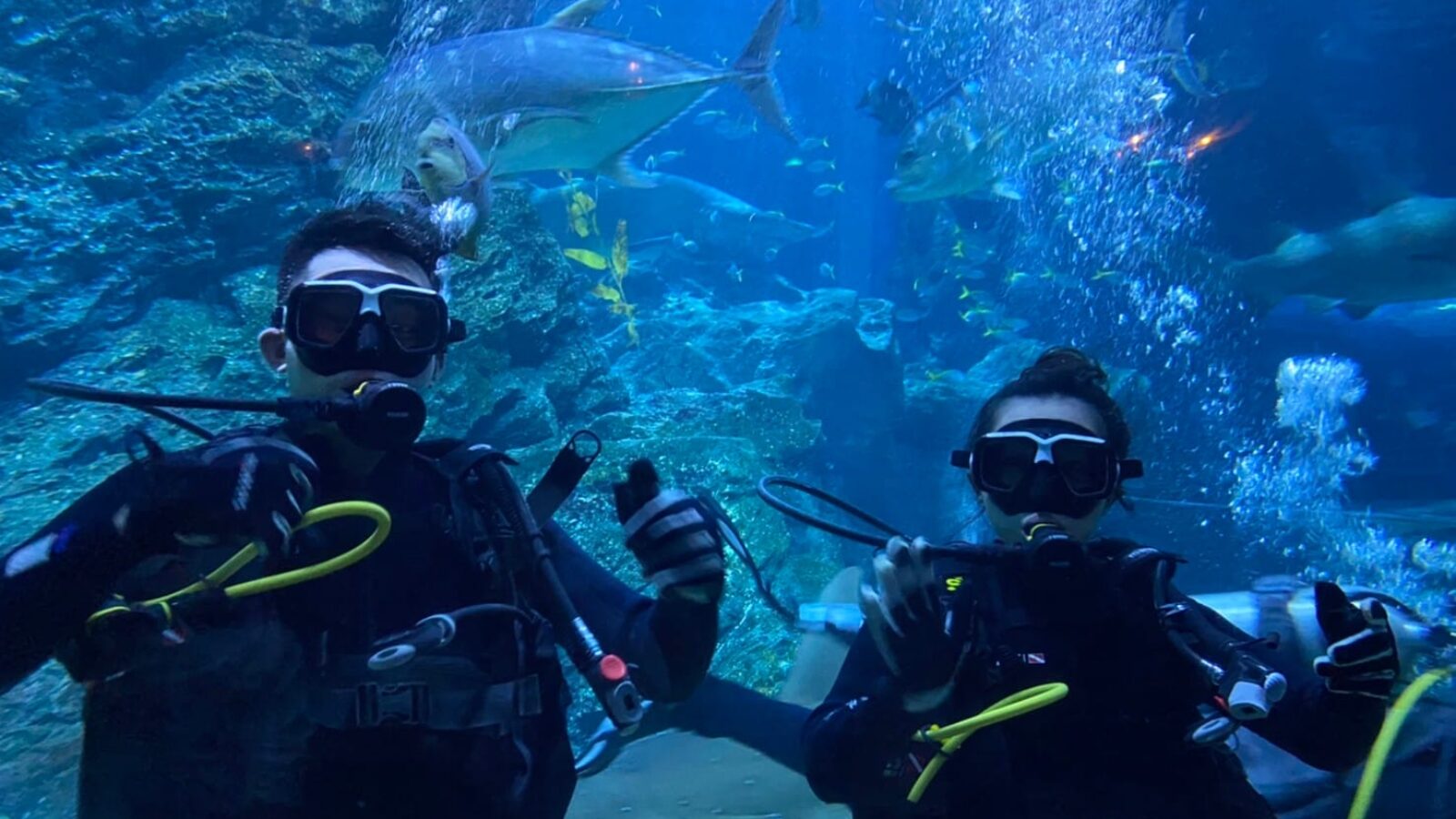 Photo-25-11-2565-BE-9-03-15-PM-19