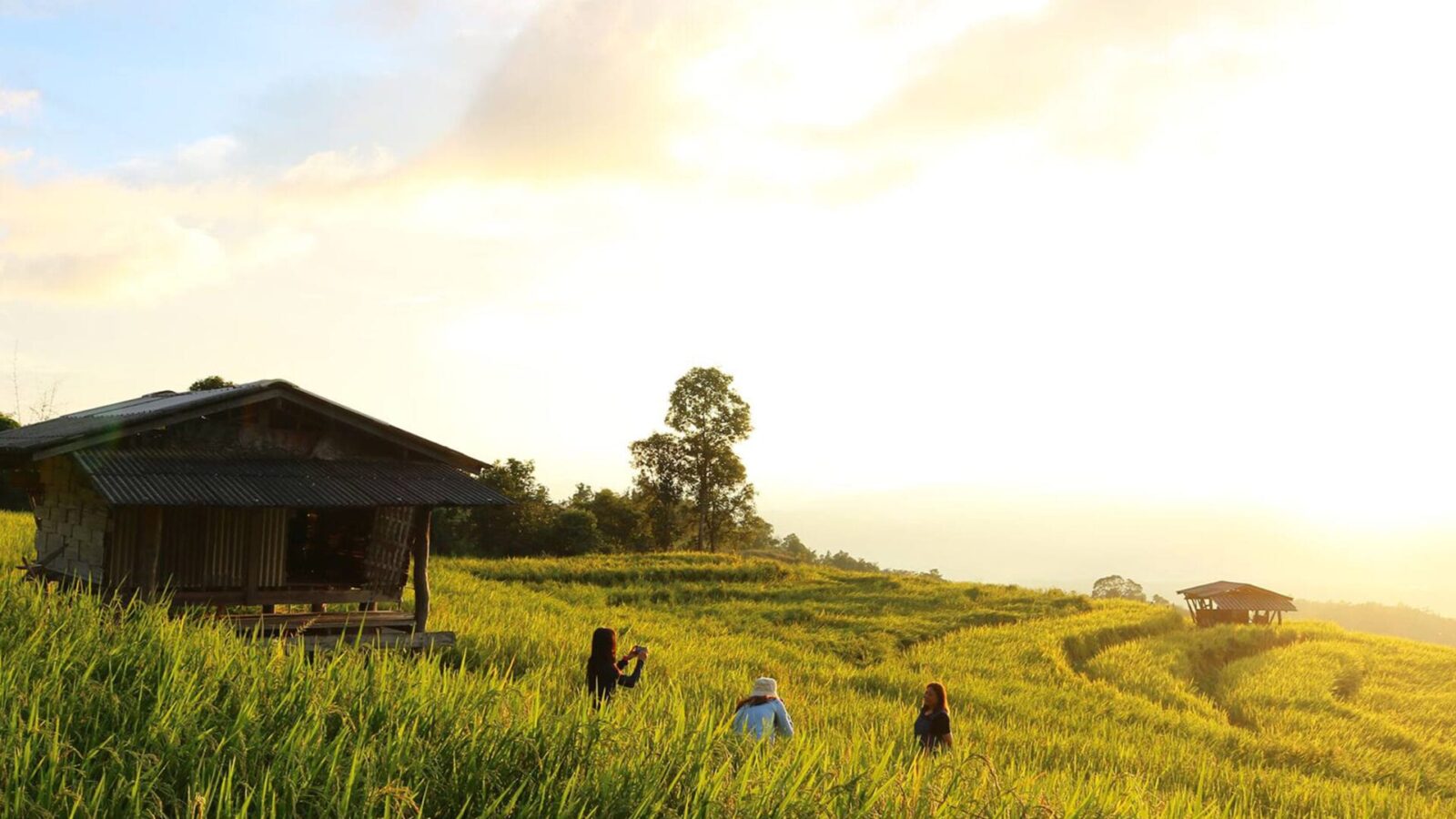 Chiang Mai - Mae Jam